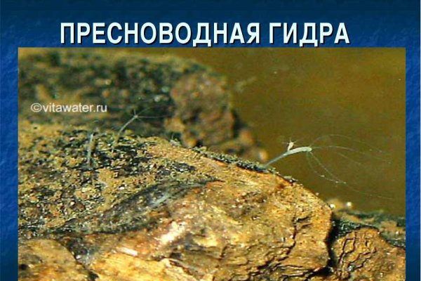 Ссылка кракен сайт зеркало