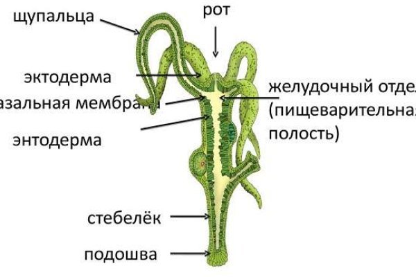 Кракен маркетплейс ссылка krakenat2krnkrnk com